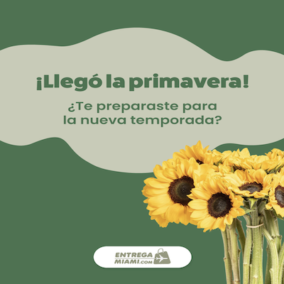 Cuenta desde celular